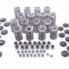 LUNATI Valve Spring & Retainer Kit 73925K1LUN