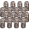 LUNATI 1.290in Beehive Valve Springs 74818-16LUN