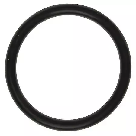 MAHLE ORIGINAL/CLEVITE Oil Filter Adapt O-Ring 20-22 Hemi 6.4L 72119