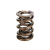 MANLEY 1.640 Dual Valve Spring 221424-1