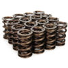 MANLEY 1.640 NexTek Valve Springs 221425-16