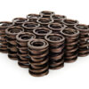 MANLEY 1.570 Dual Valve Springs 221440P-16