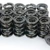 MANLEY 1.580 Dual Valve Springs 221443-16