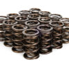 MANLEY 1.650 NexTek Dual Valve Springs 221454-16
