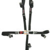 MASTERCRAFT Seat Belt Restraint 2in 5 Point Bolt In SFI 116114