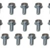 MOROSO TRANS PAN BOLT KIT GM POWERGLIDE 38780
