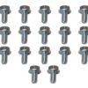 MOROSO Trans Pan Bolt Kit GM Powerglide 38782