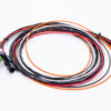MSD IGNITION Wiring Harness ASY17296
