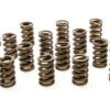 PAC RACING SPRINGS 1.244 Single Valve Springs w/Damper (16) PAC-1200-16