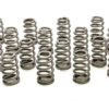 PAC RACING SPRINGS Valve Springs - Beehive GM LS (16) PAC-1211X-16