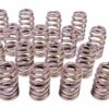PAC RACING SPRINGS 1.290 Valve Springs - Ovate Beehive (16) PAC-1215-16