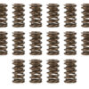 PAC RACING SPRINGS 1.260 Valve Springs  w/ Damper (16) PAC-1216L-16