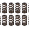 PAC RACING SPRINGS 1.290 Valve Springs - Ovate Beehive (16) PAC-1218-16