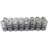 PAC RACING SPRINGS 1.290 Valve Springs - Ovate Beehive (16) PAC-1218X-16