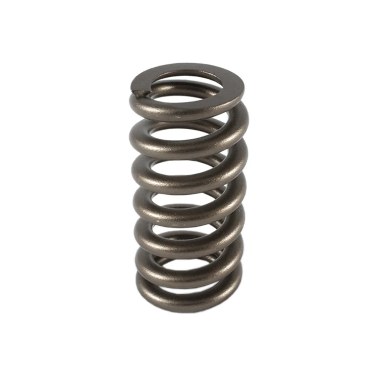 PAC RACING SPRINGS 1.307 Valve Spring - Ovate Beehive (1) PAC-1219-1