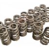 PAC RACING SPRINGS 1.307 Valve Springs - Ovate Beehive (16) PAC-1219-16