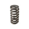PAC RACING SPRINGS 1.307 Valve Spring - Ovate Beehive (1) PAC-1219