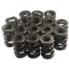 PAC RACING SPRINGS 1.625 Dual Valve Springs (16) PAC-1224-16