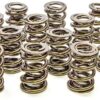 PAC RACING SPRINGS 1.550 Dual Valve Springs (16) PAC-1226-16