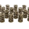 PAC RACING SPRINGS 1.539 Dual Valve Springs (16) PAC-1227-16