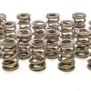 PAC RACING SPRINGS 1.625 Dual Valve Springs (16) PAC-1228-16
