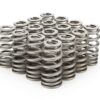 PAC RACING SPRINGS 1.345 Valve Springs - Ovate Beehive (16) PAC-1232X-16