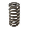 PAC RACING SPRINGS 1.025 Valve Spring - Ovate Beehive (1) PAC-1233-1