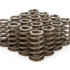 PAC RACING SPRINGS 1.210 Valve Springs - Ovate Beehive (16) PAC-1235-16