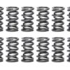 PAC RACING SPRINGS 1.274 Dual Valve Springs GM LS (16) PAC-1237X-16