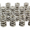 PAC RACING SPRINGS 1.274 Dual Valve Springs GM LS (16) PAC-1238X-16