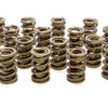 PAC RACING SPRINGS 1.550 Dual Valve Springs (16) PAC-1239-16