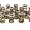 PAC RACING SPRINGS 1.550 Dual Valve Springs (16) PAC-1243-16