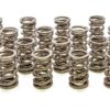 PAC RACING SPRINGS 1.550 Dual Valve Springs (16) PAC-1245-16