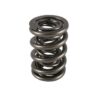 PAC RACING SPRINGS 1.645 Triple Valve Spring (1) PAC-1248