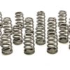 PAC RACING SPRINGS 1.445 Valve Springs - Ovate Beehive (16) PAC-1255X-16