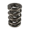 PAC RACING SPRINGS 1.645 Triple Valve Spring (1) PAC-1258-1
