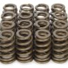 PAC RACING SPRINGS 1.250 Valve Springs - Ovate Beehive (16) PAC-1283-16