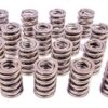 PAC RACING SPRINGS 1.545 Dual Valve Springs (16) PAC-1294-16