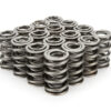 PAC RACING SPRINGS 1.550 Dual Valve Springs (16) PAC-1325-16