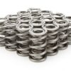 PAC RACING SPRINGS 1.625 Dual Valve Springs (16) PAC-1328-16