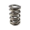 PAC RACING SPRINGS 1.500 Dual Valve Spring (1) PAC-1329