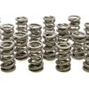 PAC RACING SPRINGS 1.514 Dual Valve Springs (16) PAC-1332-16