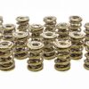 PAC RACING SPRINGS 1.645 Triple Valve Springs (16) PAC-1347-16