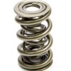 PAC RACING SPRINGS 1.645 Triple Valve Spring (1) PAC-1349