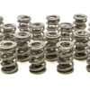 PAC RACING SPRINGS 1.645 Triple Valve Springs (16) PAC-1350-16