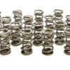 PAC RACING SPRINGS 1.500 Dual Valve Springs (16) PAC-1355H-16