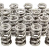 PAC RACING SPRINGS 1.522 Dual Valve Springs (16) PAC-1360-16