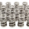 PAC RACING SPRINGS 1.536 Dual Valve Springs (16) PAC-1361-16