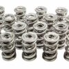 PAC RACING SPRINGS 1.681 Triple Valve Springs  (16) PAC-1364-16