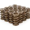 PAC RACING SPRINGS 1.374 Dual Valve Springs (16) PAC-1371-16